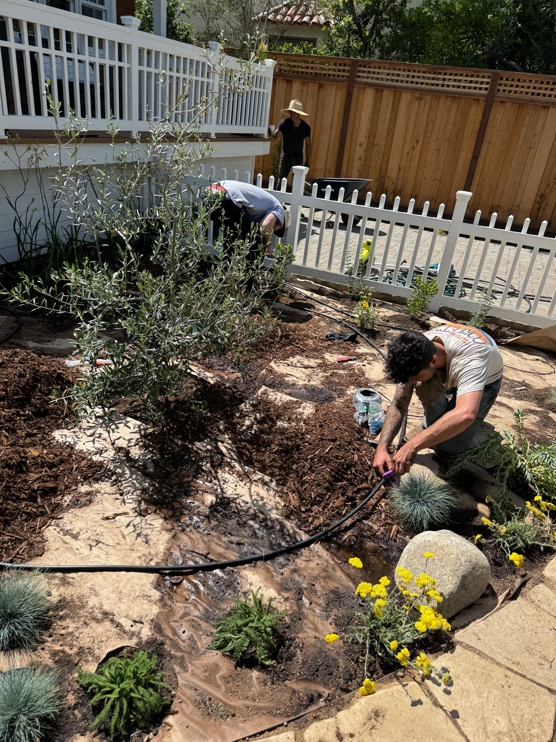 Cottage-Style Garden