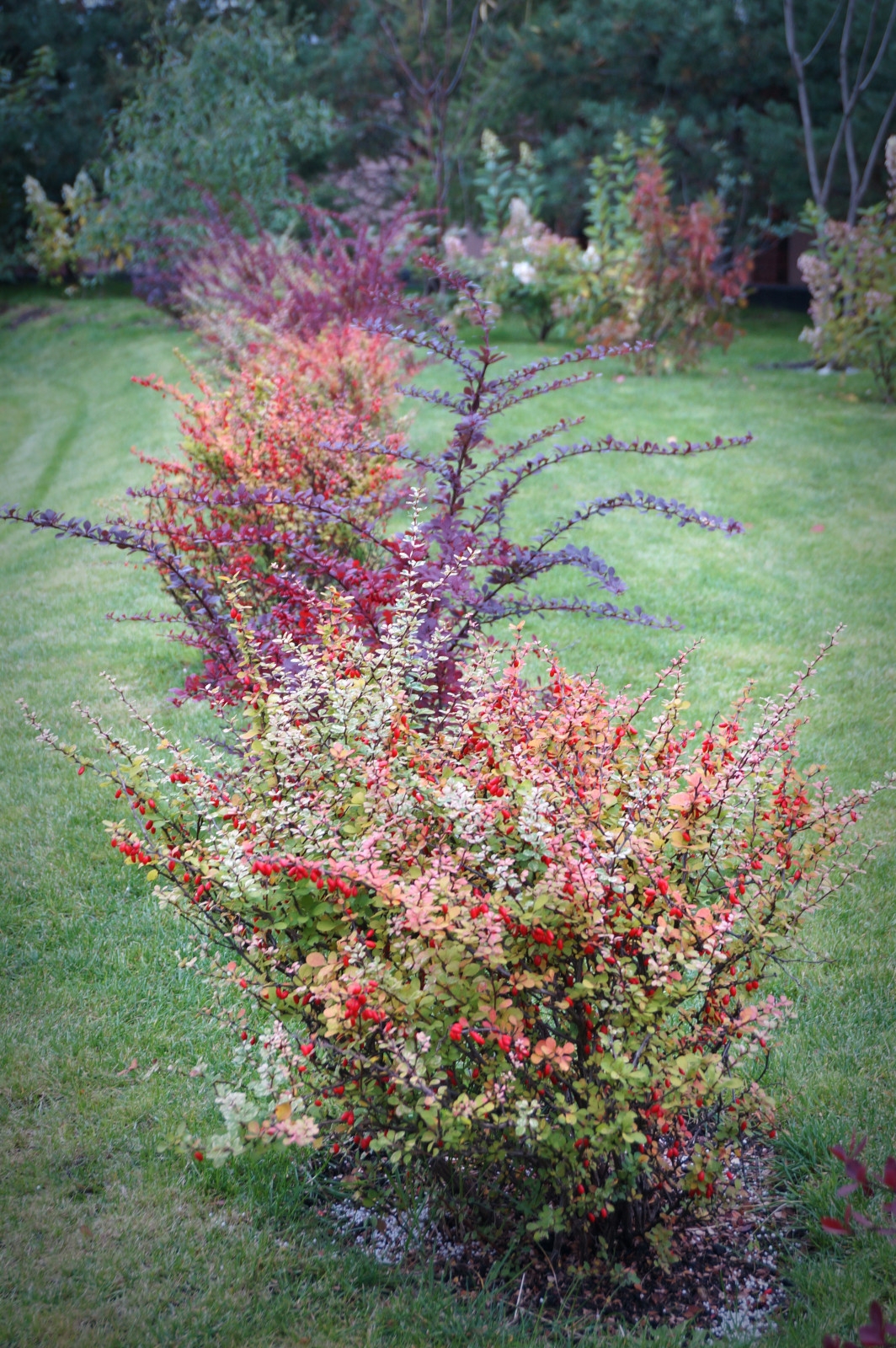 А тут такое дело...