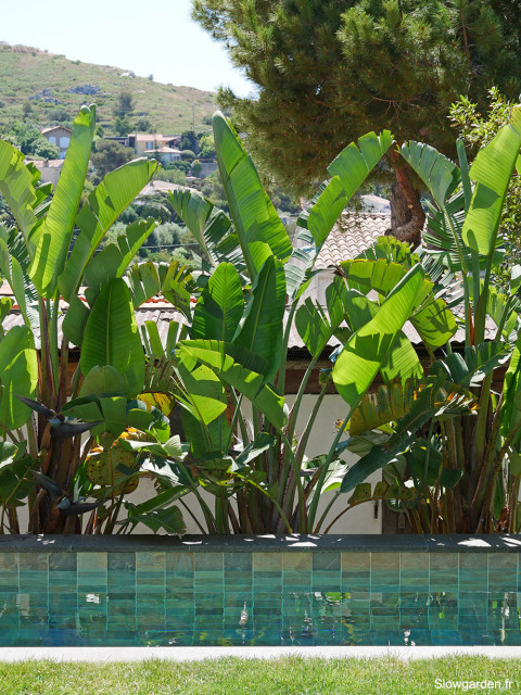 Bali tropicale-piscina