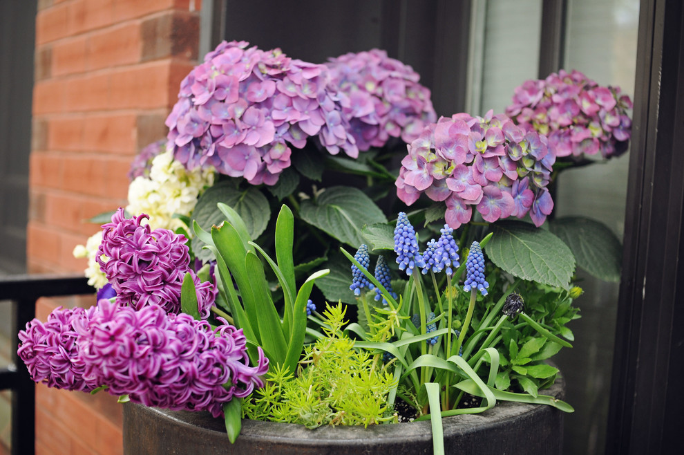 Photo of a small contemporary shade front yard landscaping in Chicago for spring.