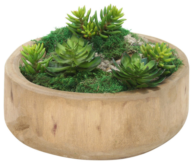 Succulents and Moss in Round Wooden Bowl Contemporary Artificial Plants And Trees by