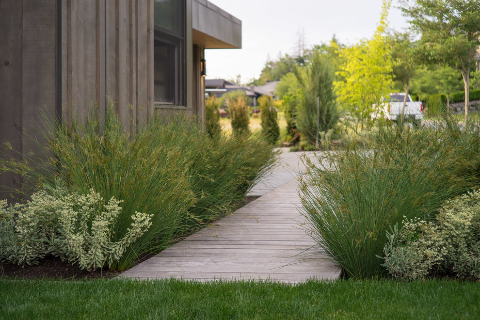 This is an example of a contemporary front yard partial sun garden in Seattle with a garden path and decking.