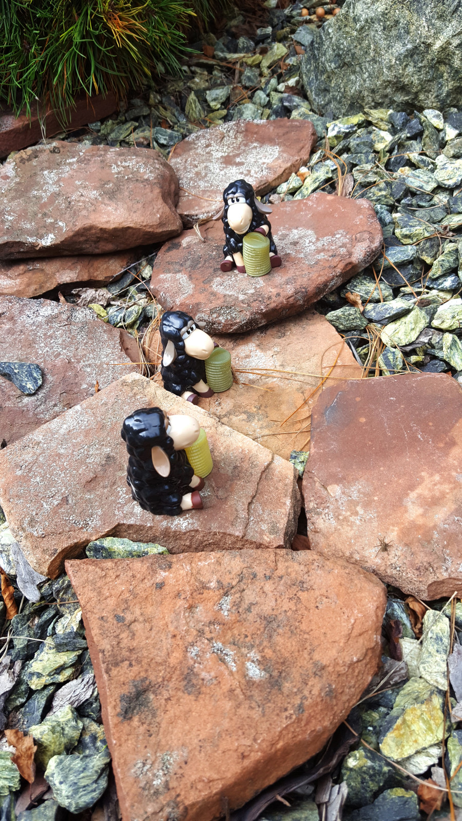 Цветники и композиции крупным планом