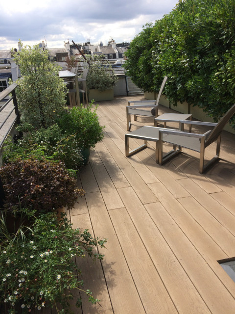 Hyde Park Penthouse contemporary-deck