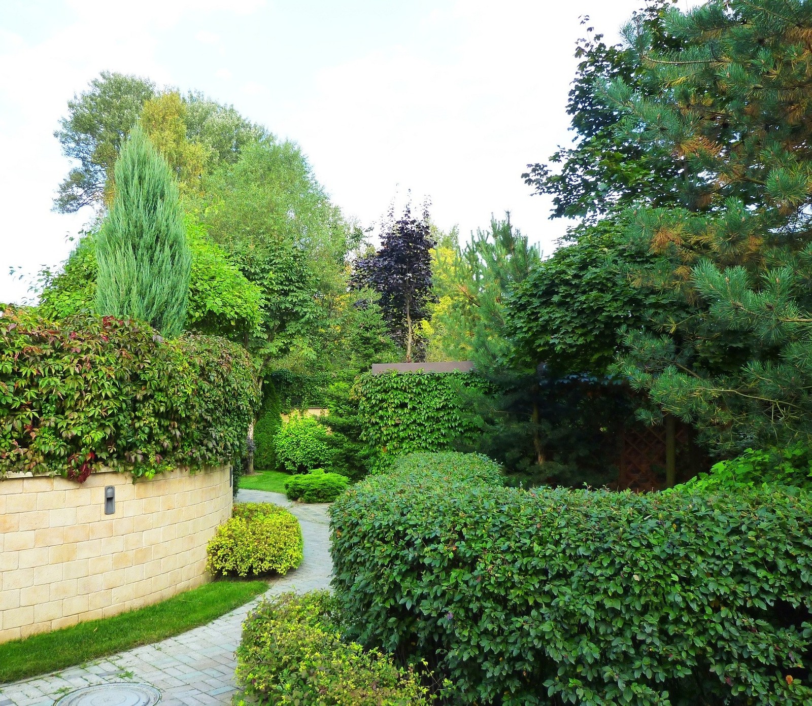 Озеленение жилого комплекса