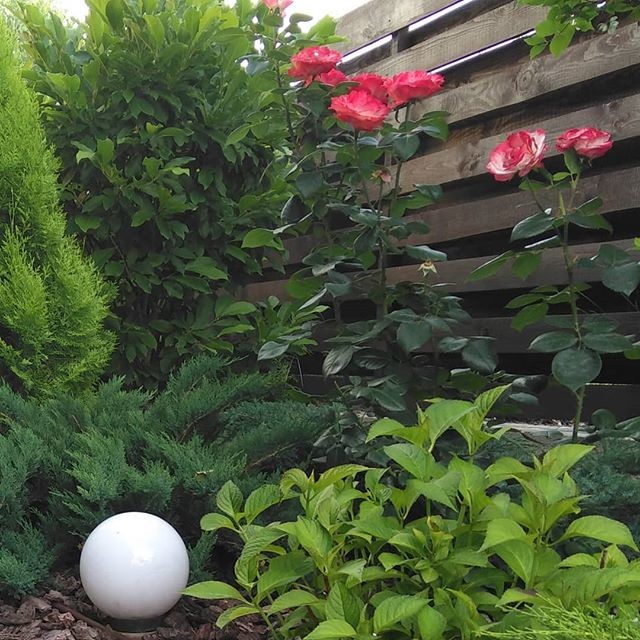 Дизайн маленького участка