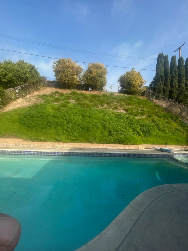 Backyard Renovation