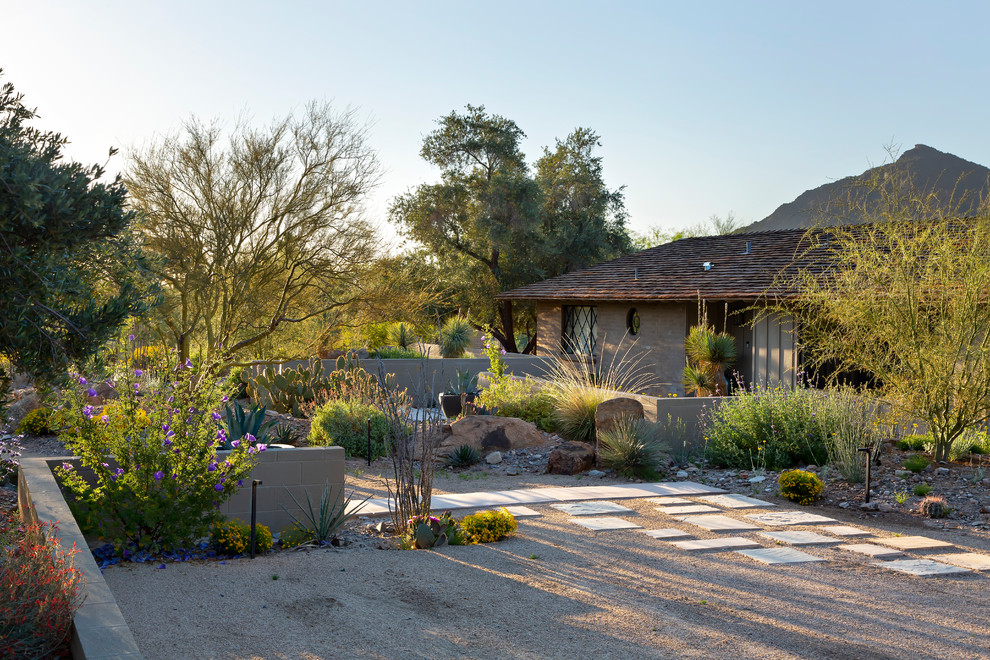 Inspiration for a mid-century modern drought-tolerant front yard landscaping in Phoenix.