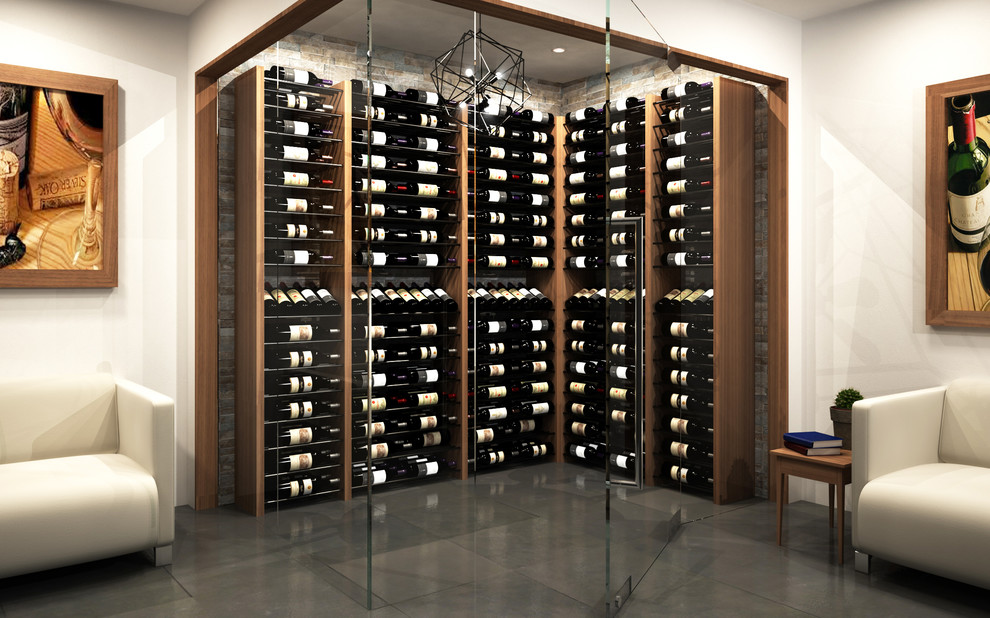 Wine cellar - transitional wine cellar idea