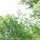 debbie_maxwell8