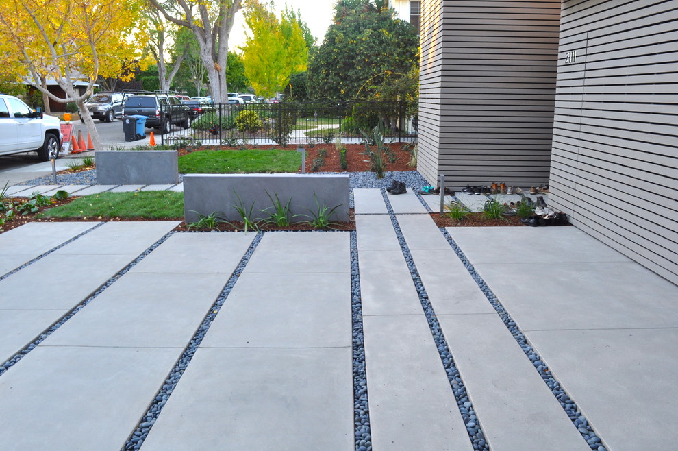 Photo of a modern front yard driveway in San Francisco.