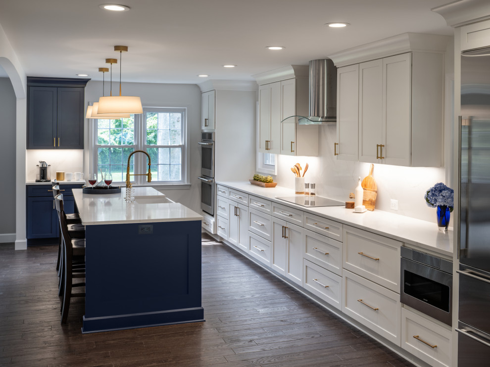 Kitchen - transitional kitchen idea in DC Metro
