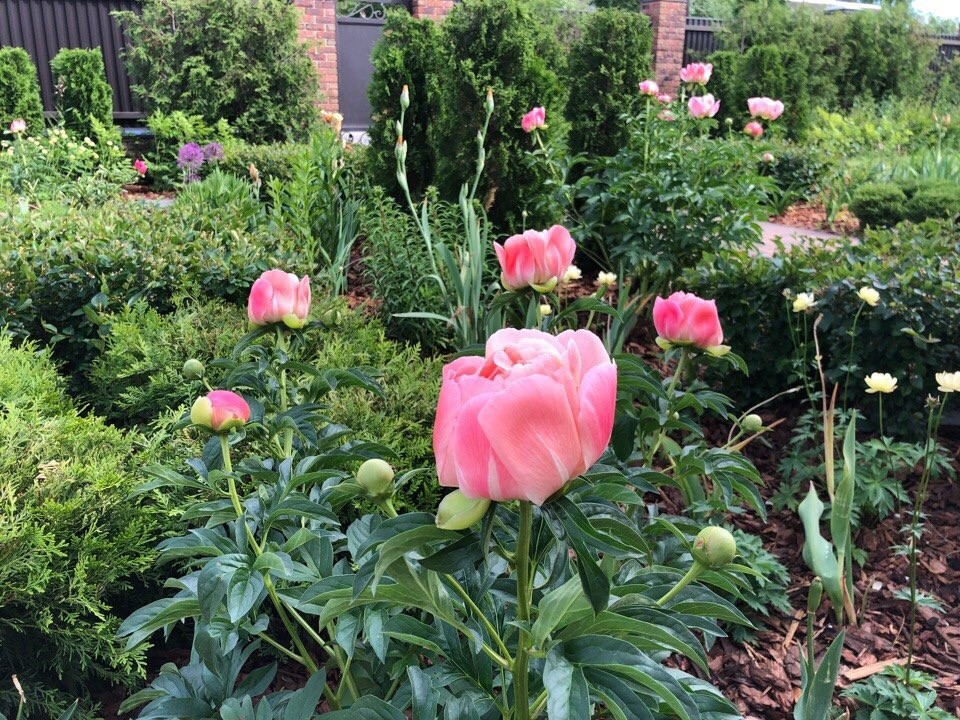 Равновесие