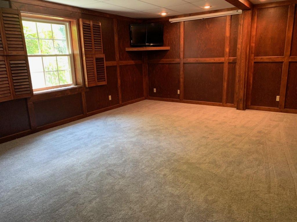 Basement - transitional basement idea