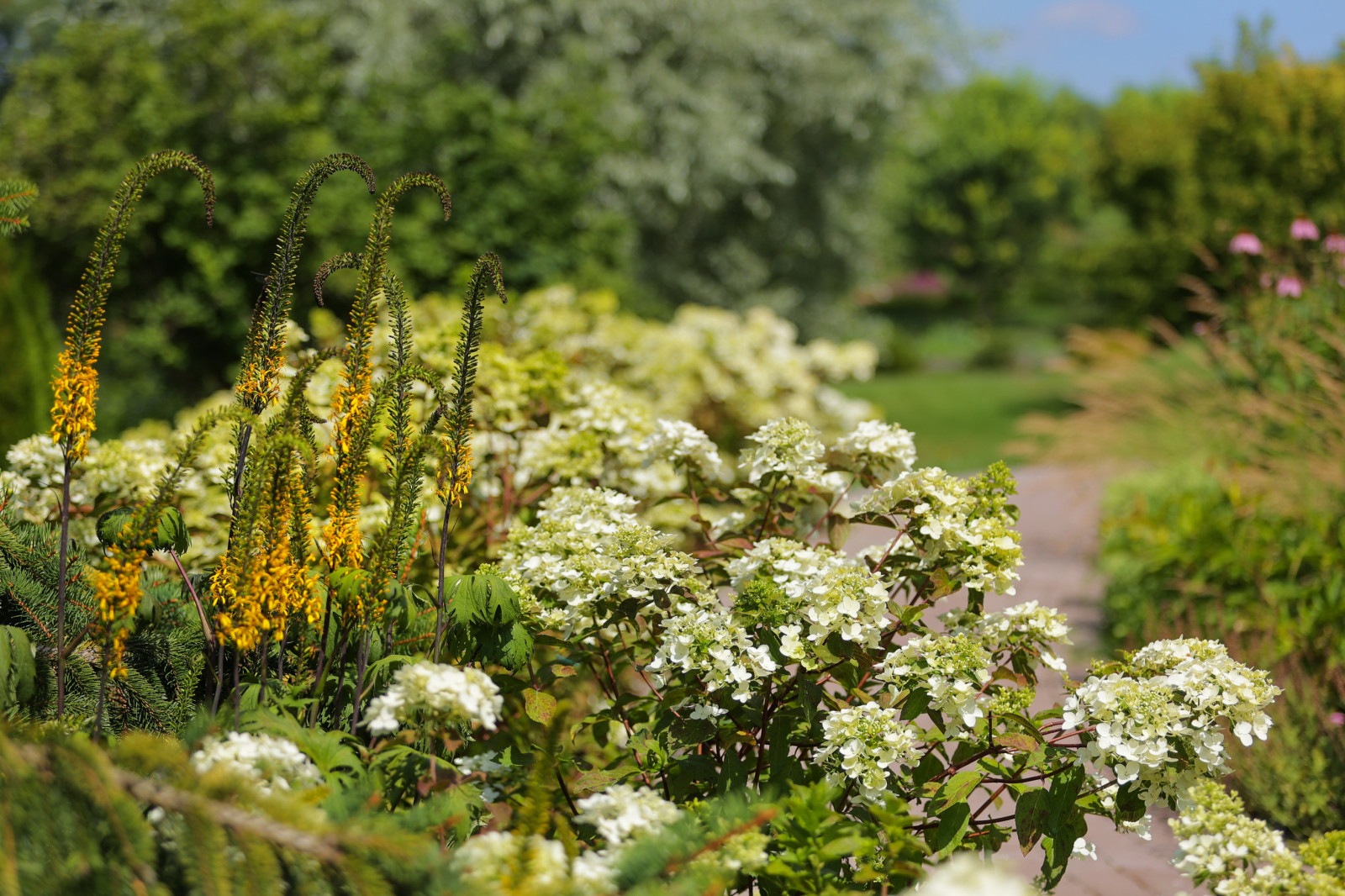 Якшино. Осень 2019