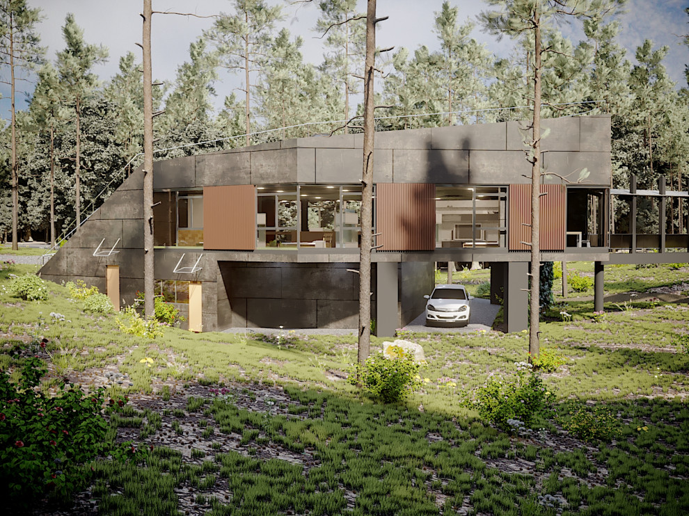 Проект частного дома в сосновом бору