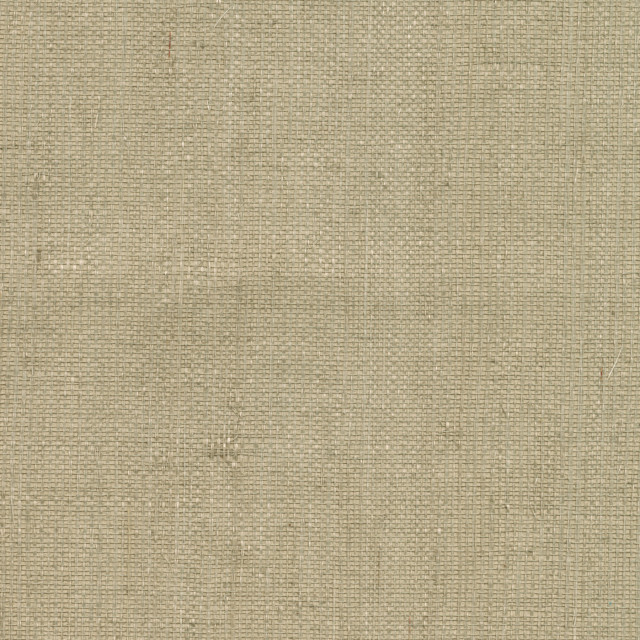 Ruslan Light Green Grasscloth Wallpaper Contemporary Wallpaper by
