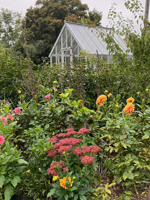Large, Multi-Purpose Garden lantlig-foerraad