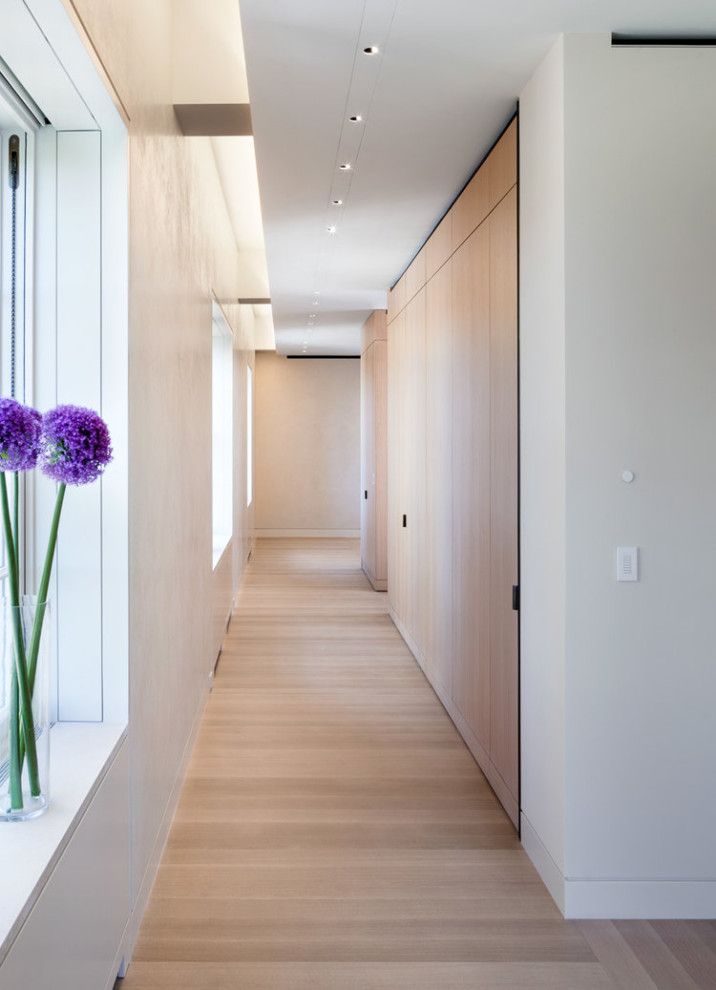 Design ideas for a modern hallway in New York with white walls and light hardwood floors.