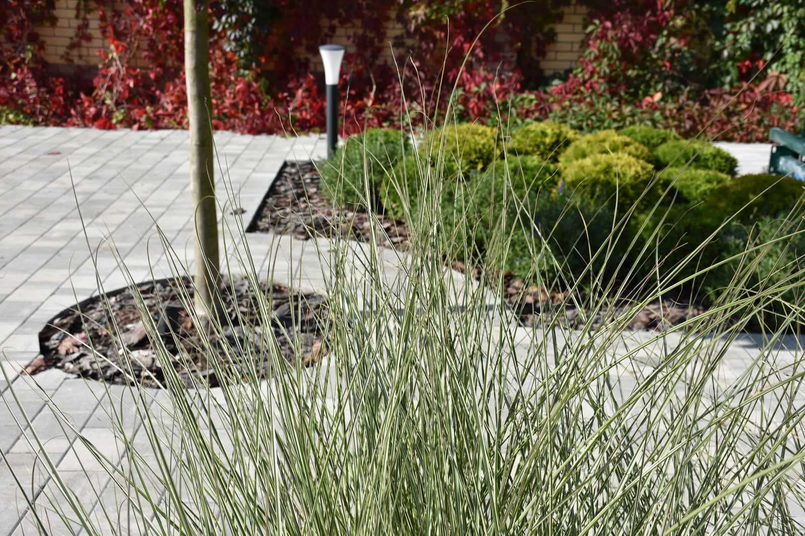 Игра в геометрию