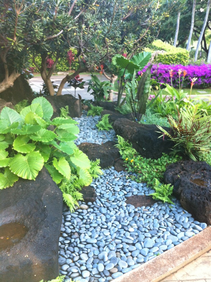 Photo of a mid-sized tropical backyard full sun garden for spring in Hawaii with gravel.