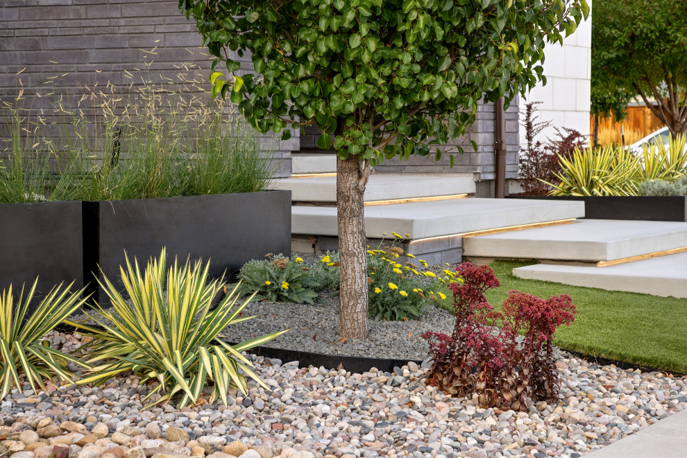 Outdoor Living Lounge