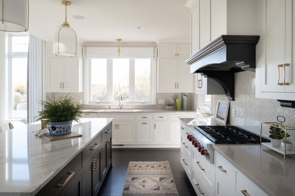 Kitchen - transitional kitchen idea in Minneapolis