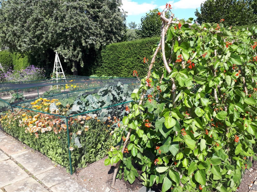 Vegetable Garden Maintenance Project