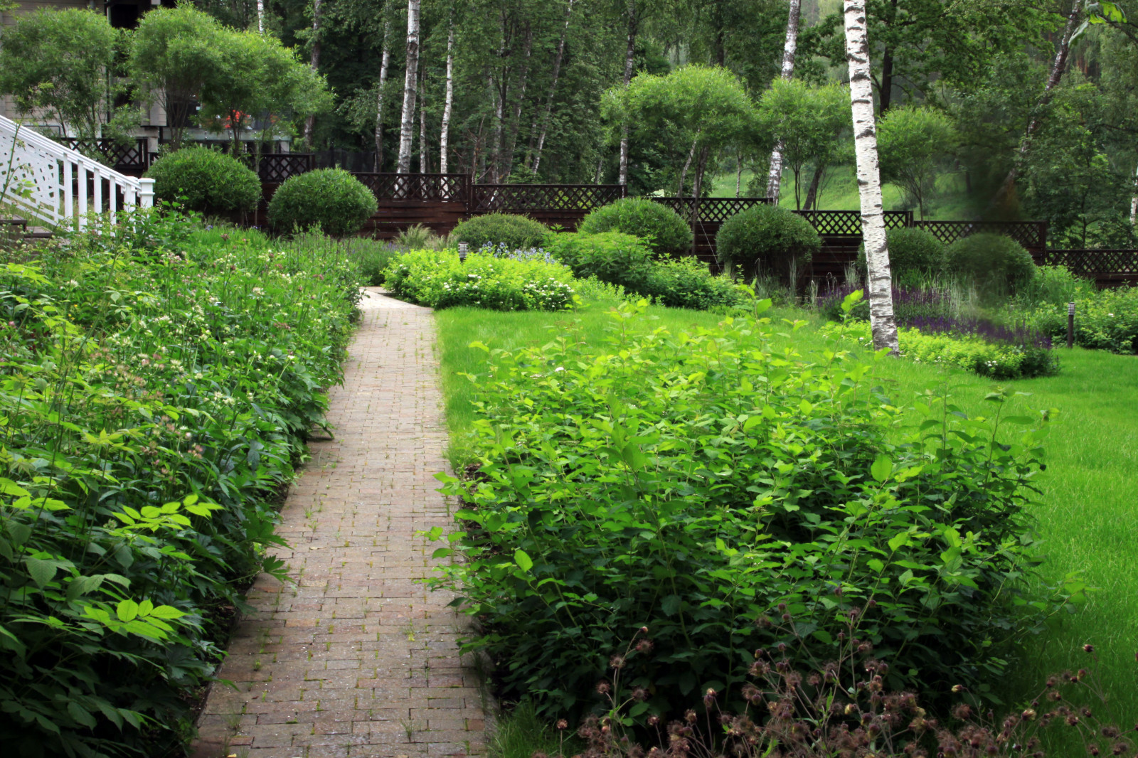 Проект "Волны". Нижний сад