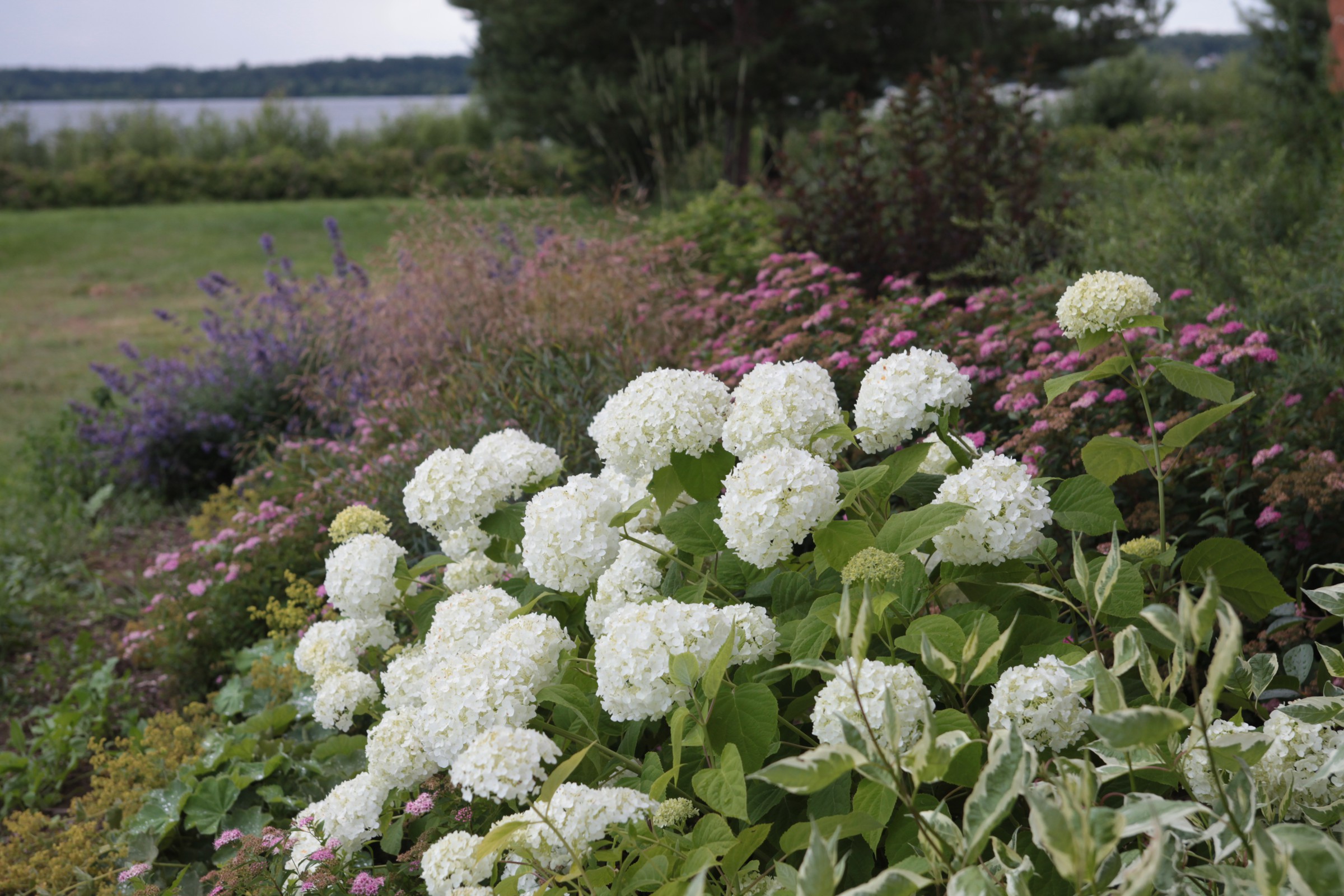 Проект "Волга"