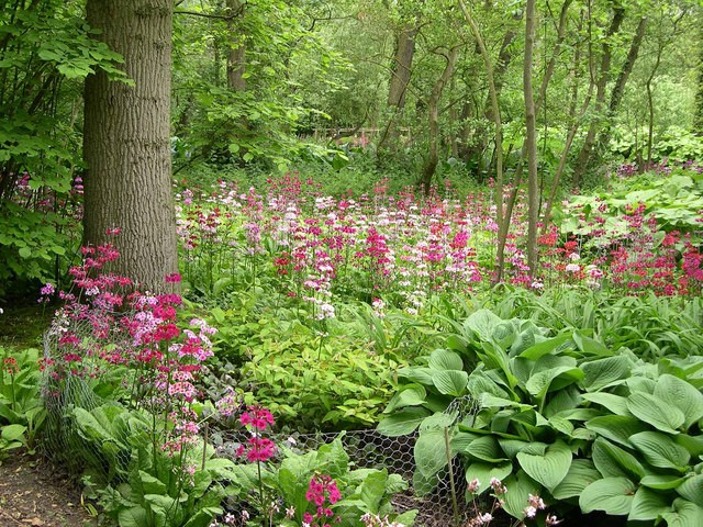 Woodland Garden Settings