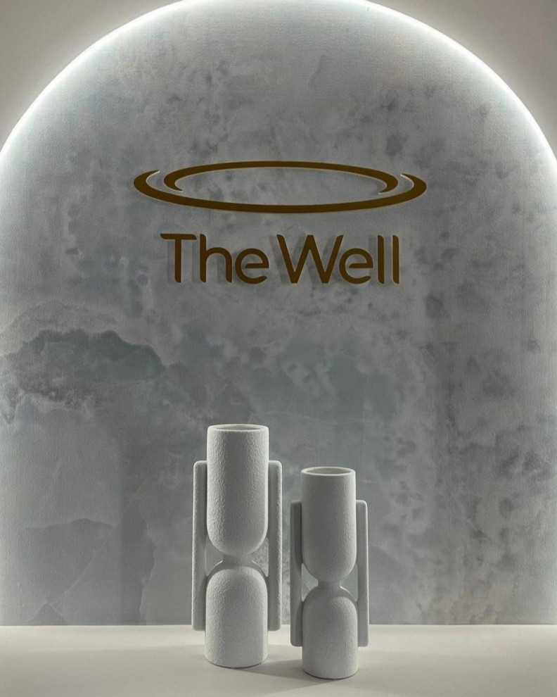 The Well in Elizabeth Bay - A Luxurious Transformation