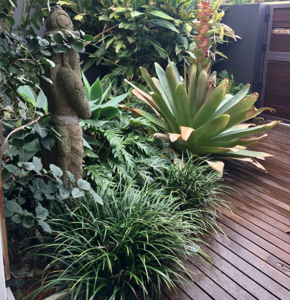 Immagine di un piccolo privacy in giardino tropicale esposto a mezz'ombra davanti casa in primavera con pedane