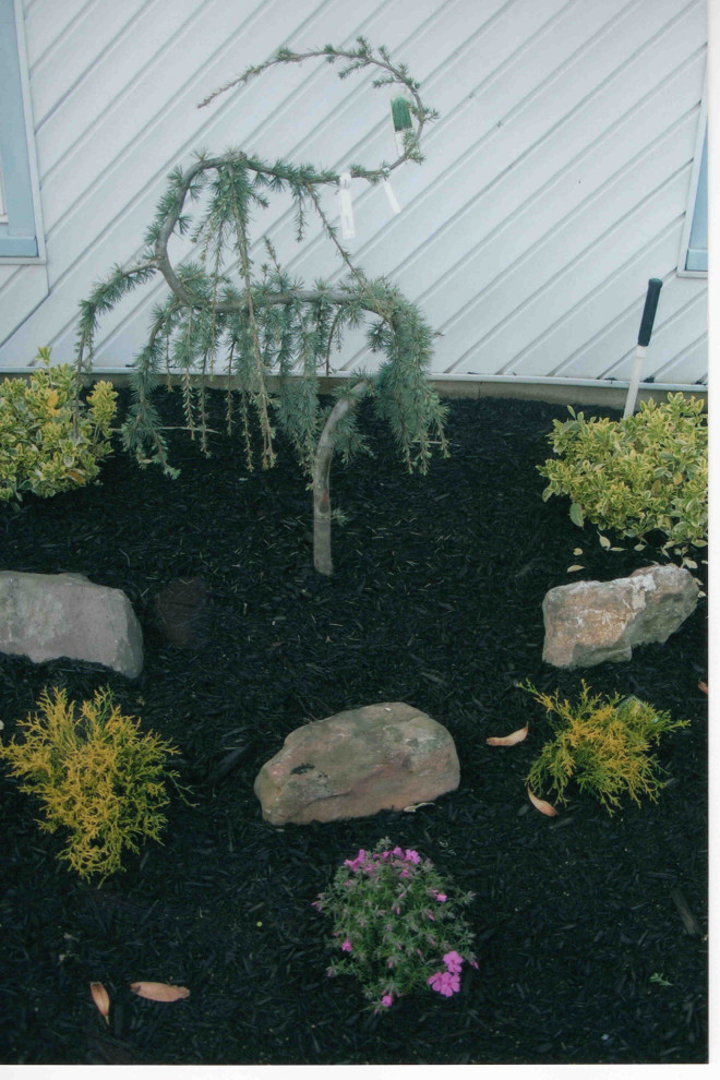 Front Yard landscaping with Belgium Block tree rings