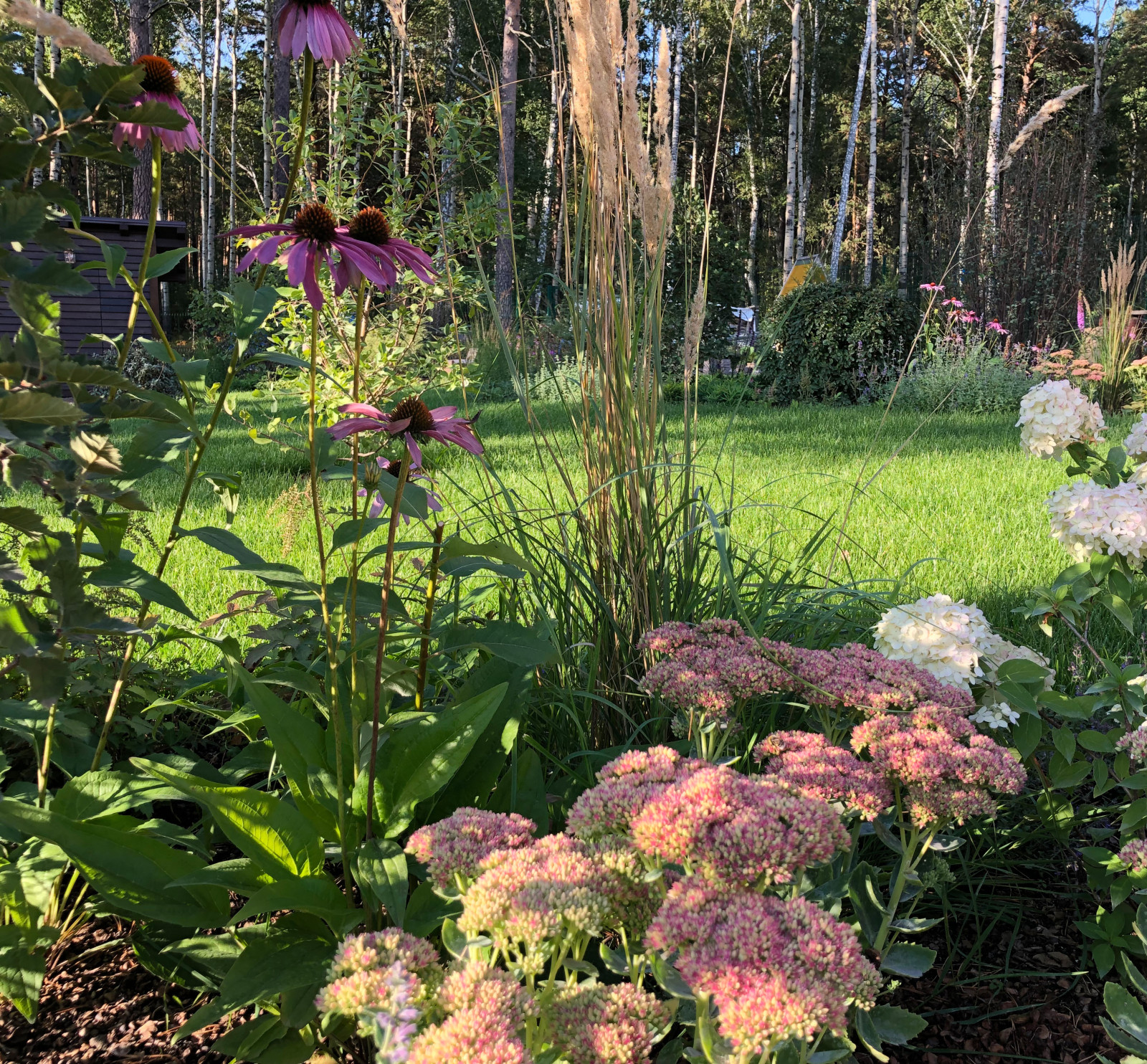 Усадьба на краю леса