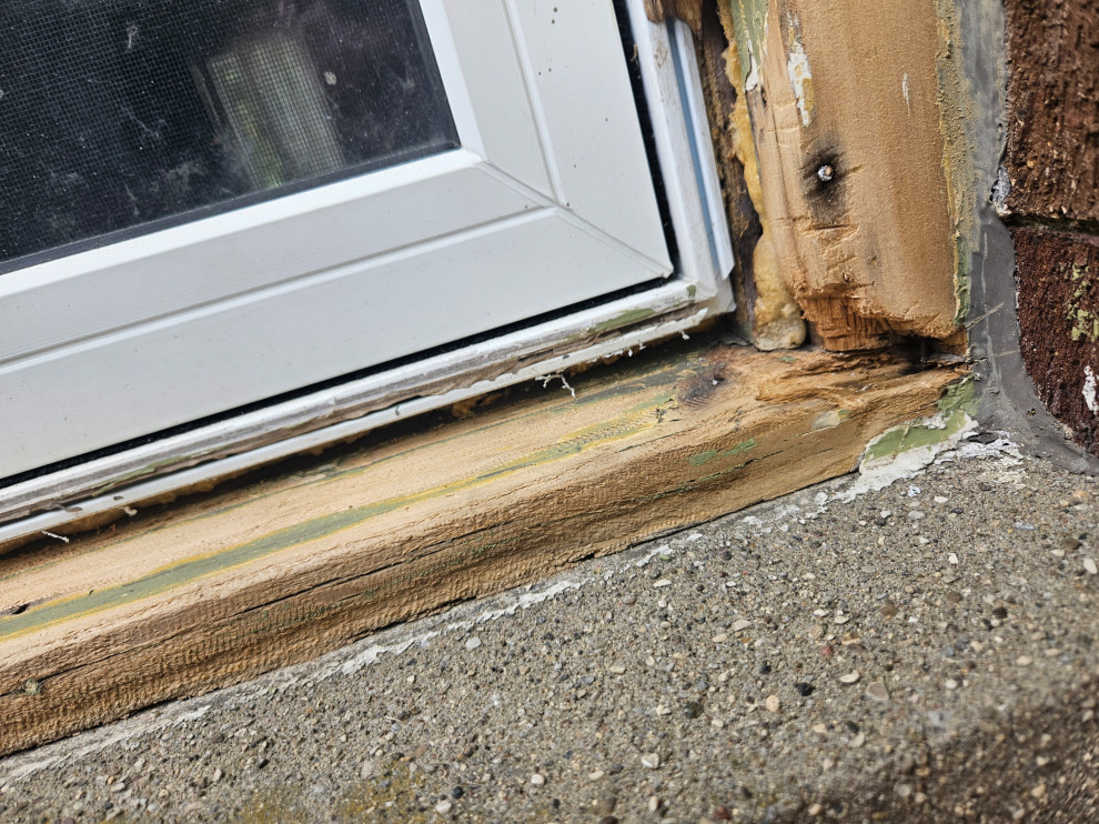 Window Trim Remediation