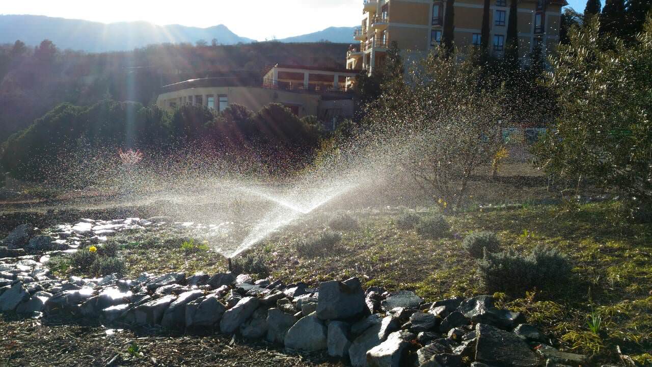 газон и полив