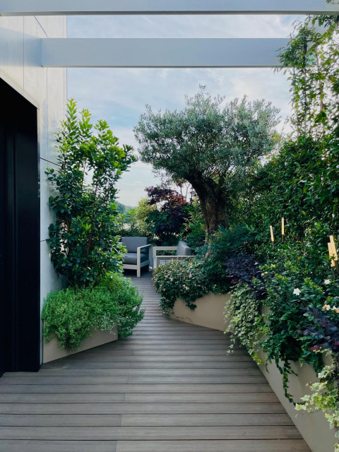 Casa Alta contemporary-terrace