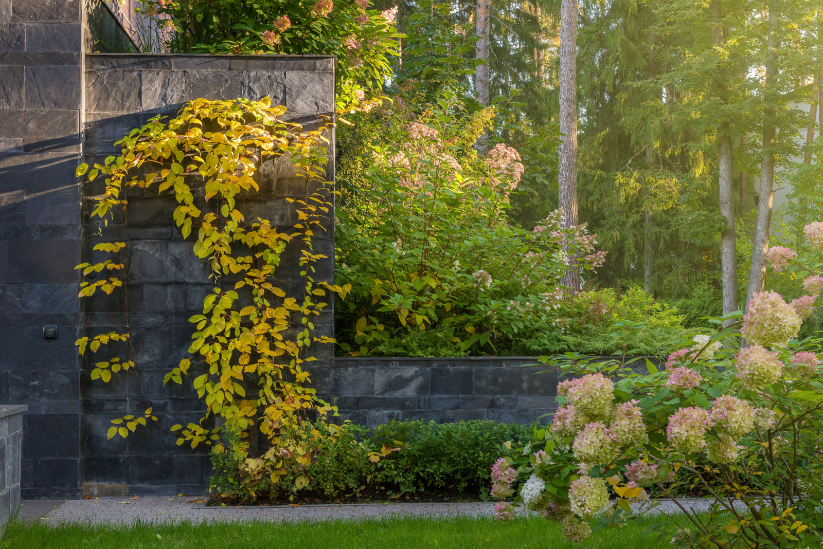 Сосновый бор