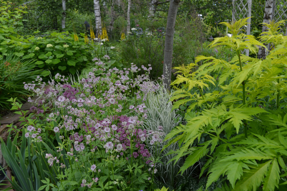 Сад  «Моя цветущая планета».