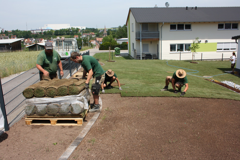 Moderner Garten in Nürnberg