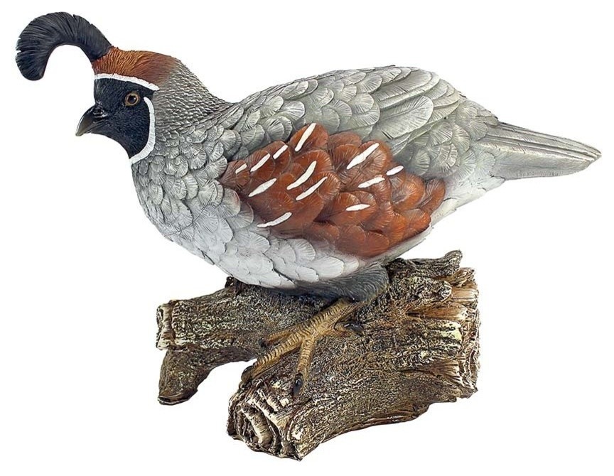 Coco The Quail Statue - Farmhouse - Decorative Objects And Figurines ...