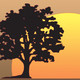 Total Landscape Concepts