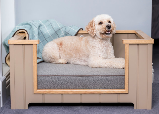The Digby Front Details Dog Bed Traditional Living Room Cornwall by User Houzz IE