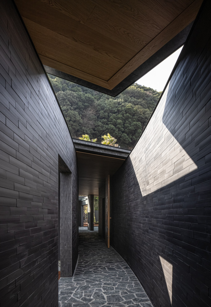 Источник вдохновения для домашнего уюта: коридор в стиле модернизм с черными стенами, полом из керамогранита и черным полом