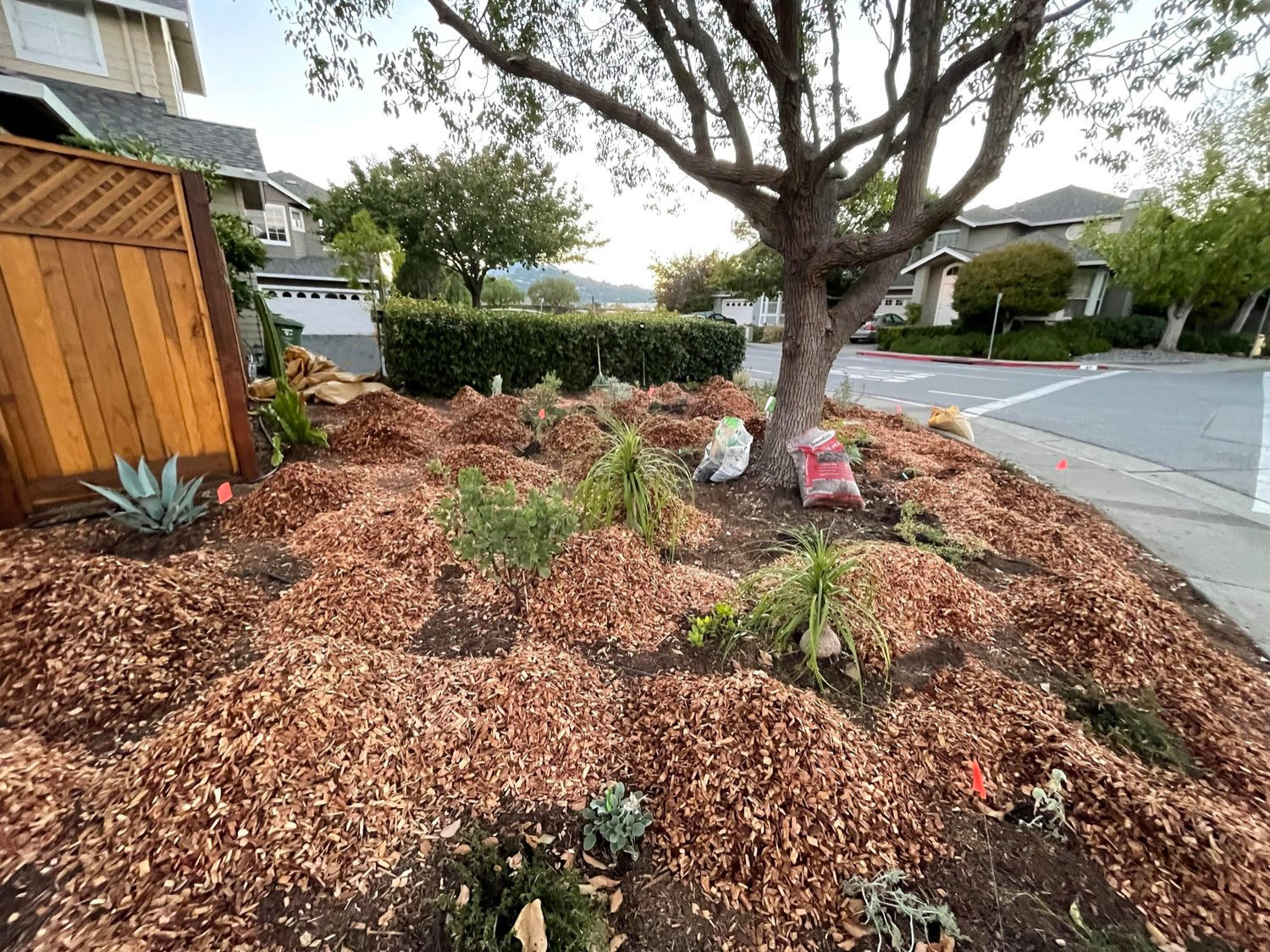 Adding Top Soil + Mulch
