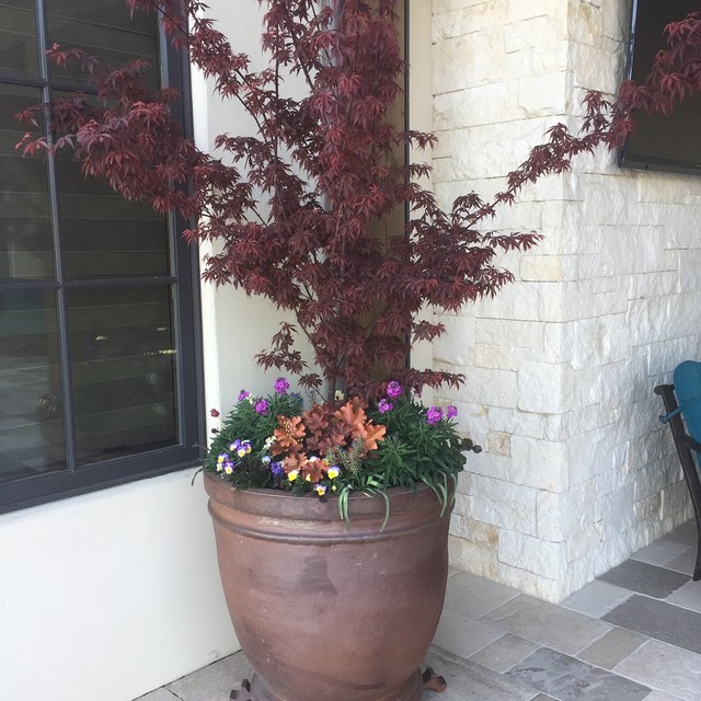 Pots for Flowers, Pots for Trees! Boise by Boise Pottery Houzz UK