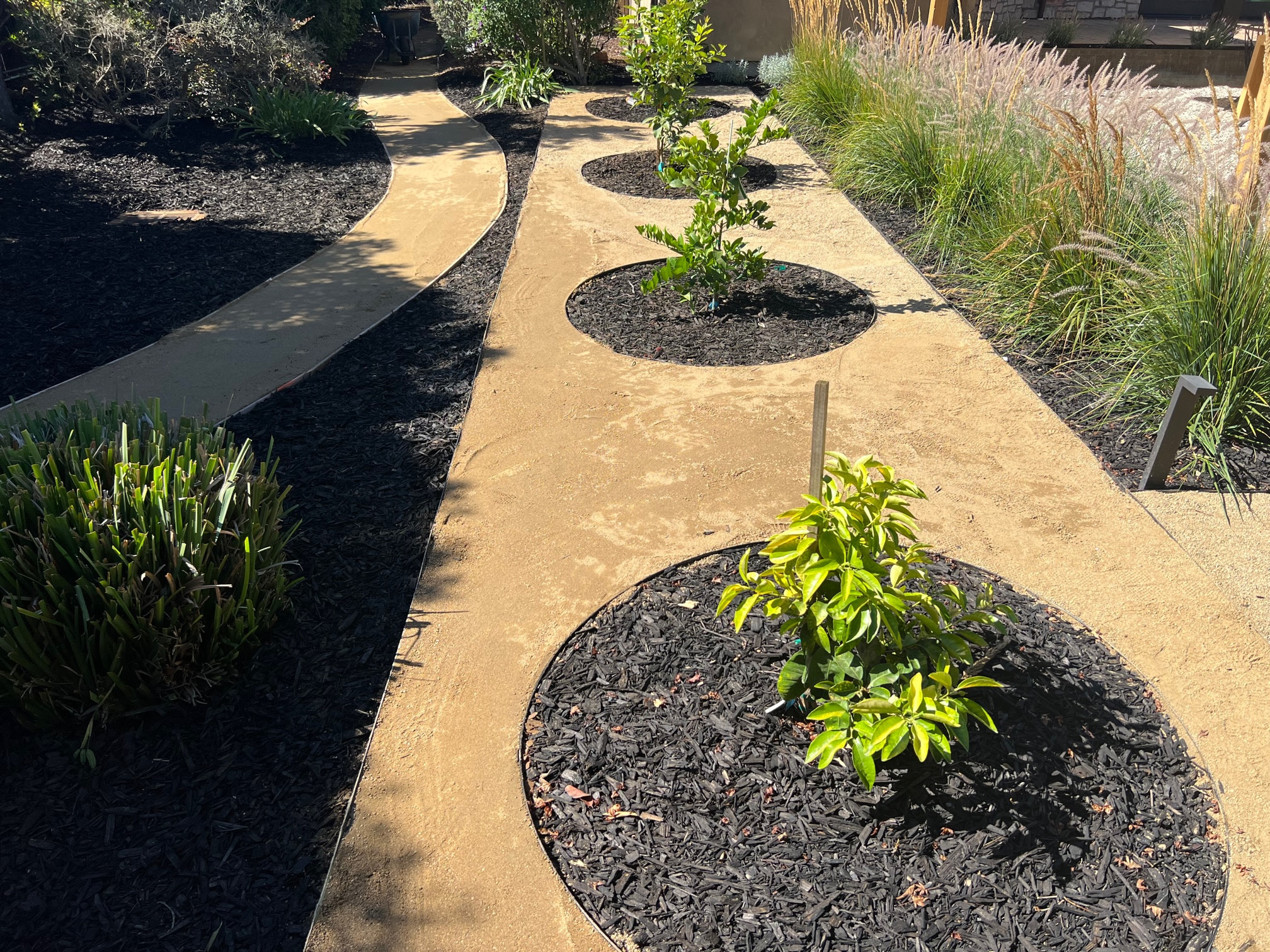 Modern Garden - Los Altos CA