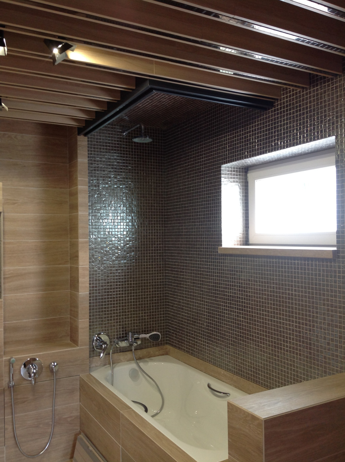 Rogosinino Prototype 2/14