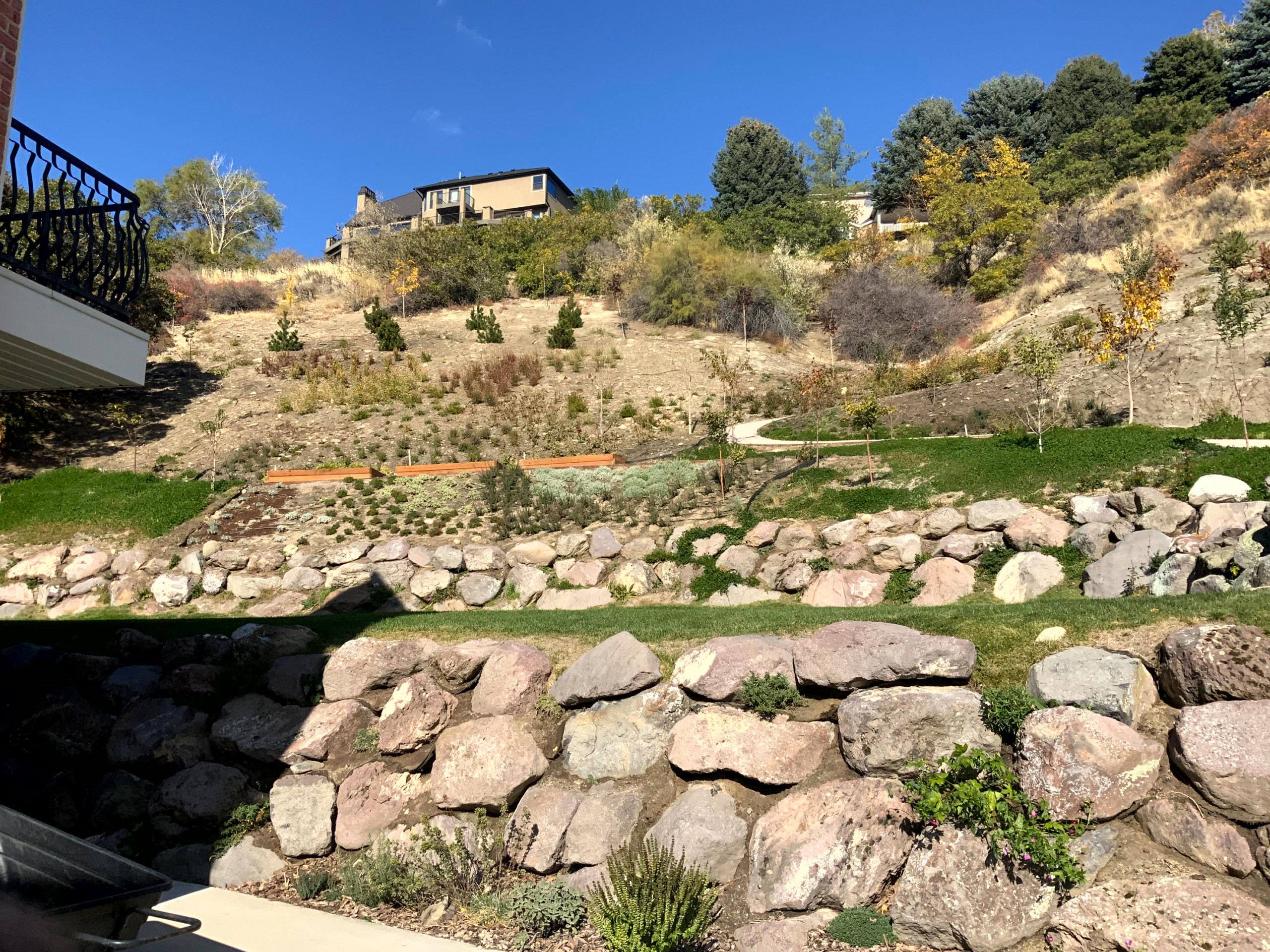 Mountain Meadow Garden